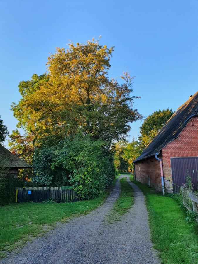 Ostssespitze Villa Riepsdorf Exterior photo